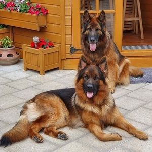 Meet your Posher, Colleen